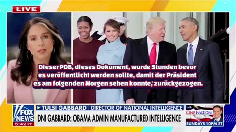 Tulsi Gabbard on russia collusion witnesses