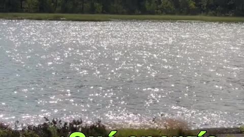 😊 210 “LA ENERGÍA QUE ENTREGAS… TE REGRESA MULTIPLICADA” Proverbios 11:27 😊