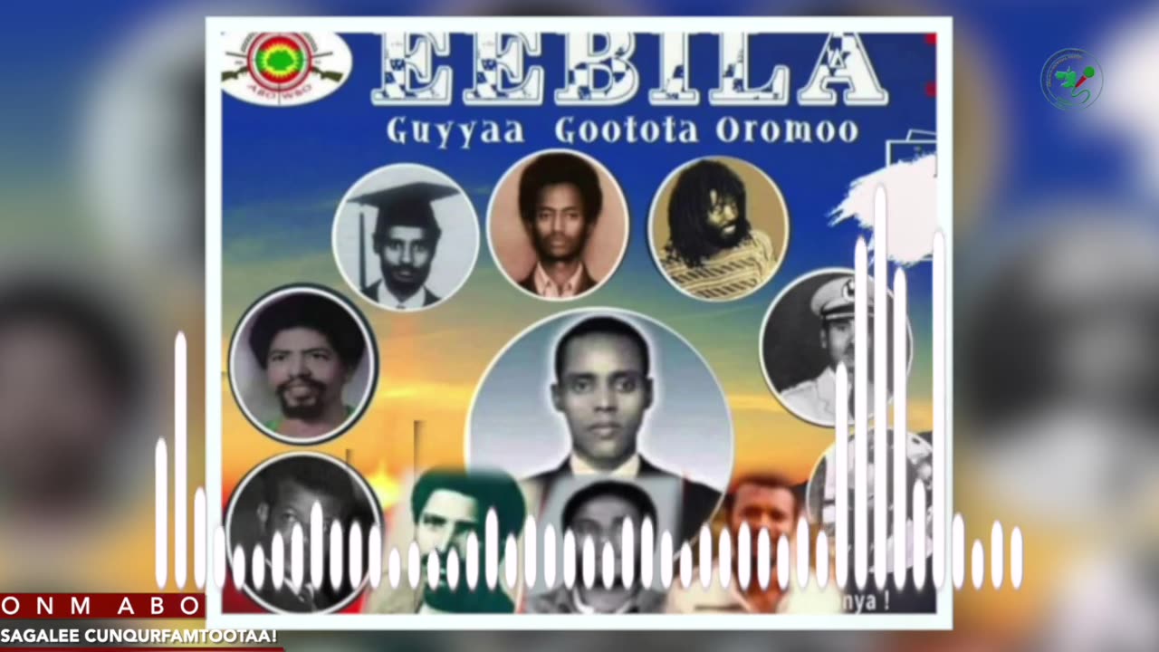 Qophii Walaloo ONM-ABO Ebla 14-2025 itti dhiyaadhaa!