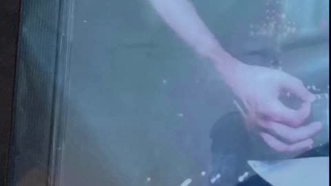 Box Of Arrows Self Titled CD , Support RETURN OF PHYSICAL MEDIA