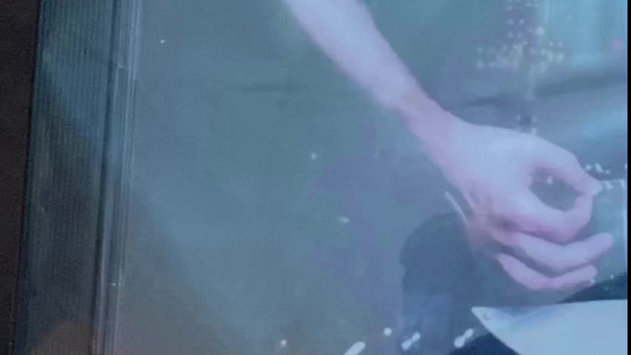 Box Of Arrows Self Titled CD , Support RETURN OF PHYSICAL MEDIA