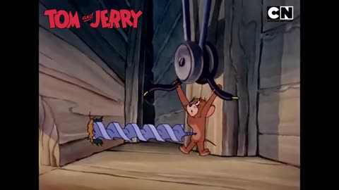 Tom and Jerry