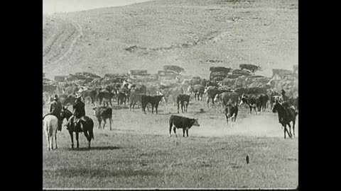 Rural Life in 1938 Temperate Lands