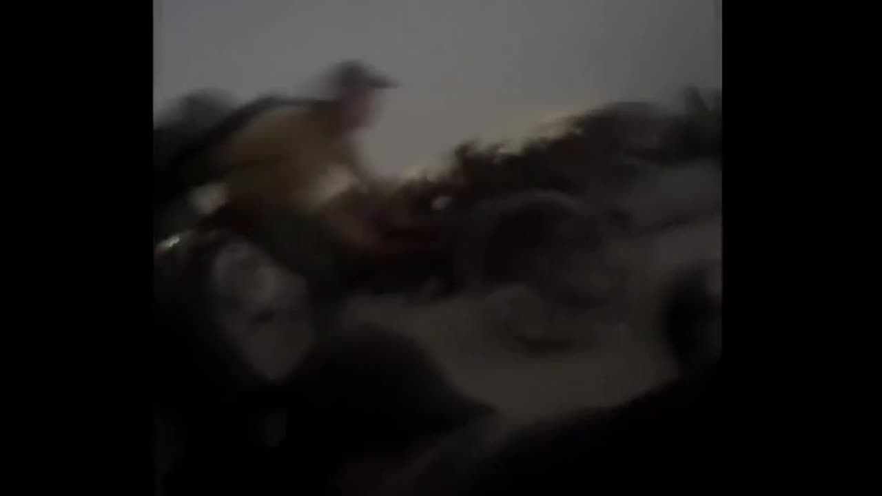 Gaza Genocide Compilation Cranberries "Zombie"