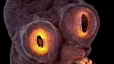 Demonic Parasites