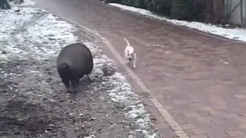 Best friends just discovered themselves ❤️