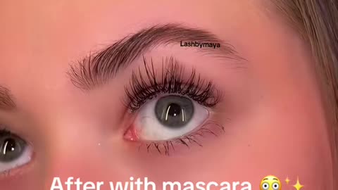 Lash by maya