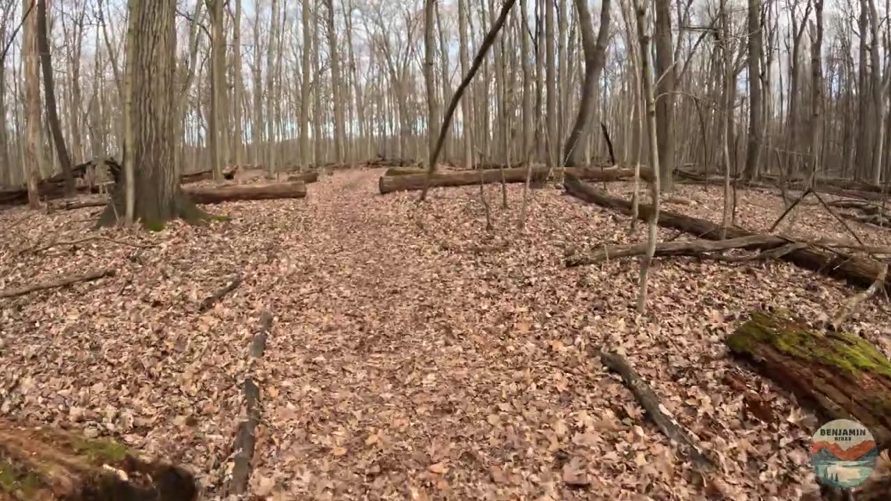 Hiking the Yellow Loop at Aman Park, Spring Hike | Full Hike POV | Nature ASMR | Grand Rapids, MI