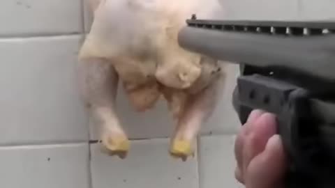 WHY YOU DON'T USE 12 GAUGE SLUGS IN HOME DEFENSE!