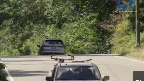 Another Illegal Dumping