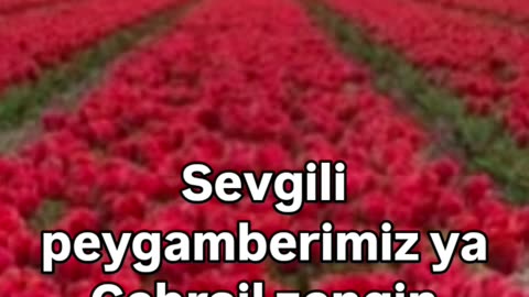Günün sözü