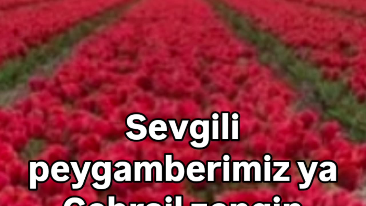 Günün sözü