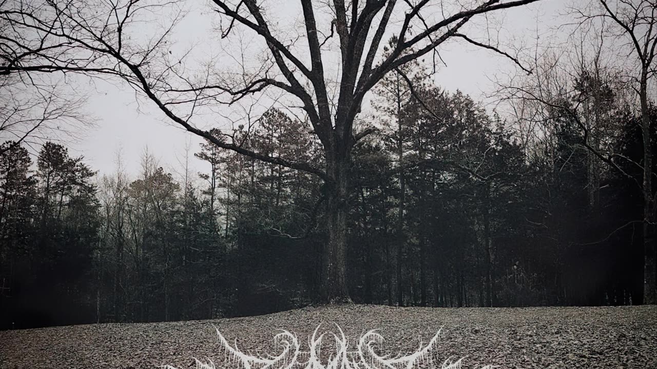 Blatant/Unashamed - Lamenta