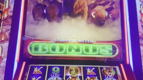 Buffalo Ultimate Stampede 🌵🎰🦌