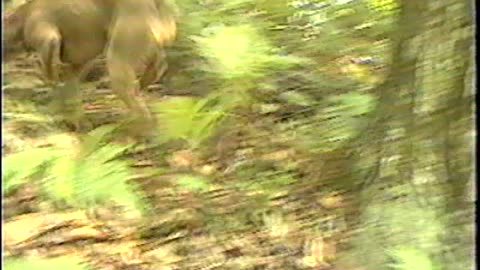 2002-NY-LakeTitus-17