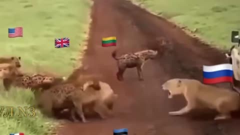 the west and Russia