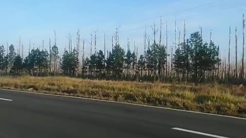 Ruta Nacional 14