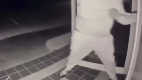 Anna Scott was shot while confronting suspects