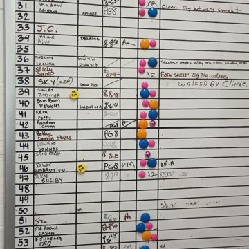 PACC shelter Whiteboard kennels 29 to 56 pod 2 color note walking board20250709_259