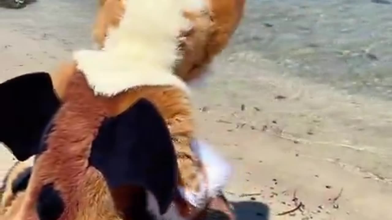 .