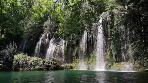 Natural beauty and it's........ scenery