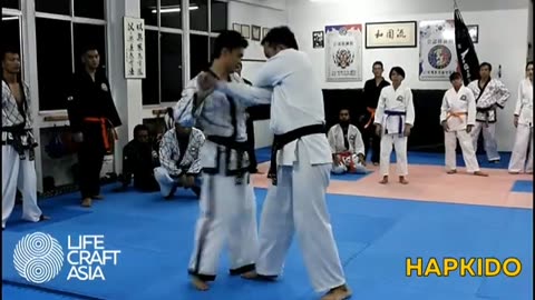 Hapkido