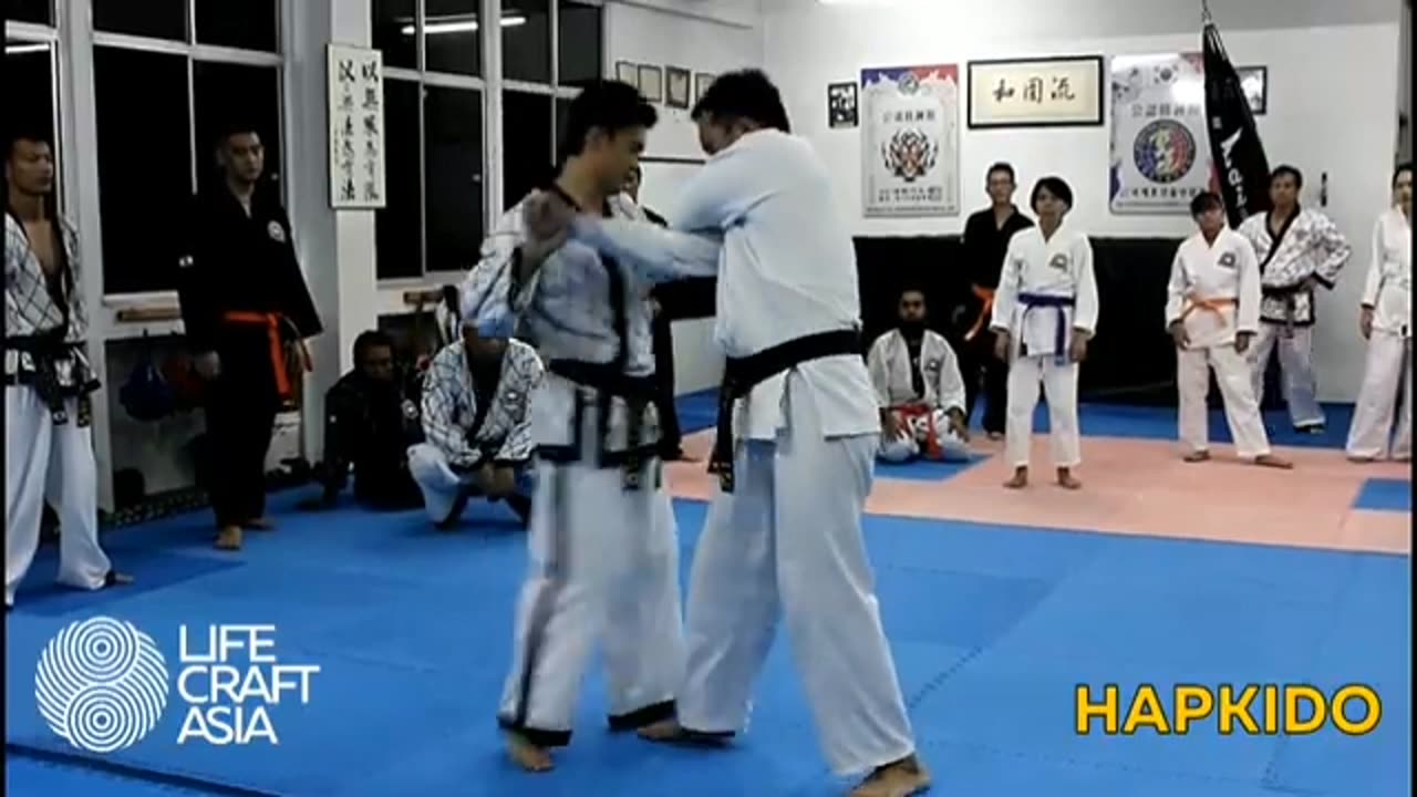 Hapkido