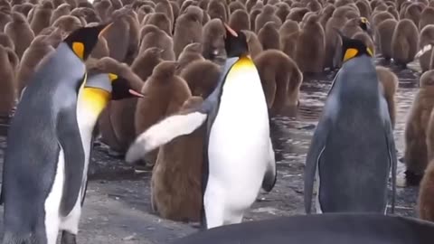 Conversations about important things.