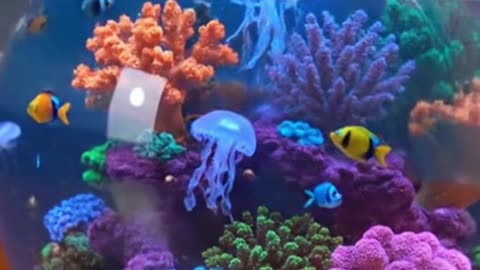 When perfection meets relaxation… watch till the end 😮‍💨🎥 #Satisfying #VisualTherapy