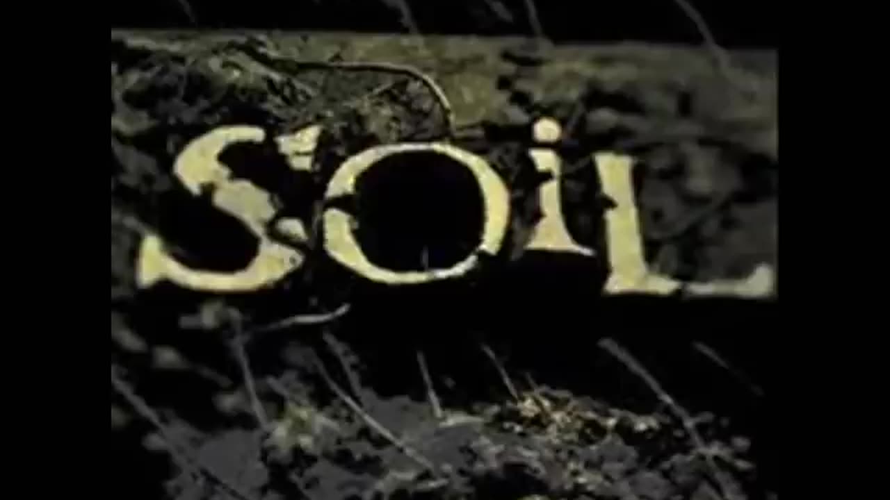 Soil - Halo