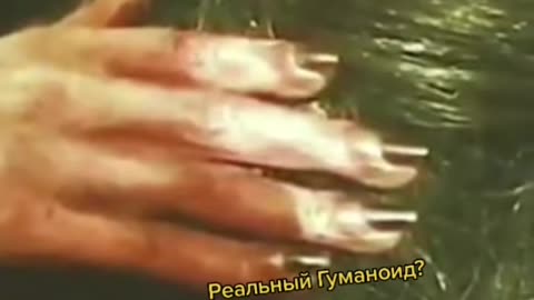 🛸👽 Is This The Most Famous UFO Footage EVER? | TheTruthAbove