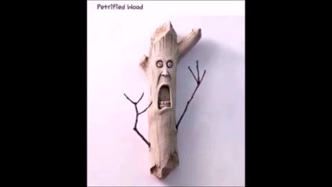 51925 Funny Laugh Out Loud Hilarious Memes Jokes Cartoons