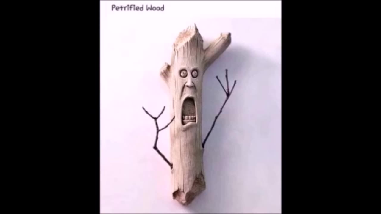 51925 Funny Laugh Out Loud Hilarious Memes Jokes Cartoons