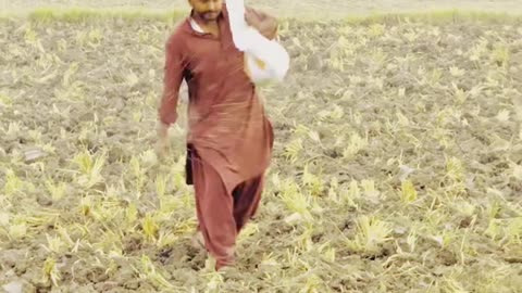Village Life ❤❤ #maxrecords #villagelife #larkana #sindh #pakistan