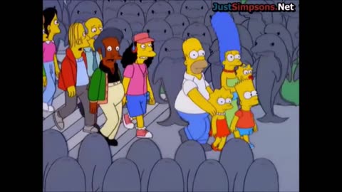 SPRINGFIELD VS DOLPHINS