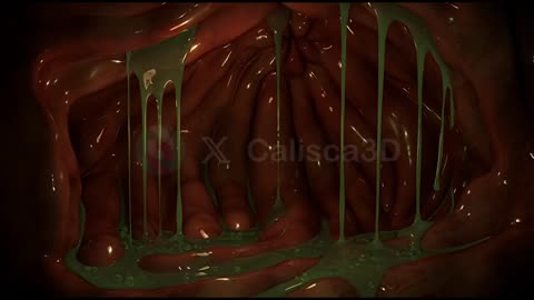 Calisca3D - Sinia's Hungry Belly