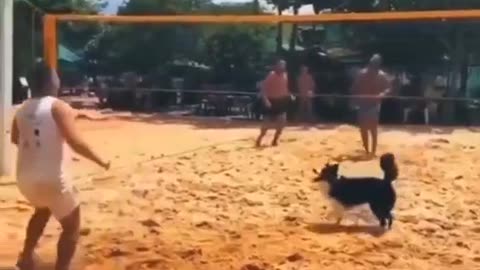 🤩🏐 The Cutest Volleyball Player You'll Ever See! | FunFM