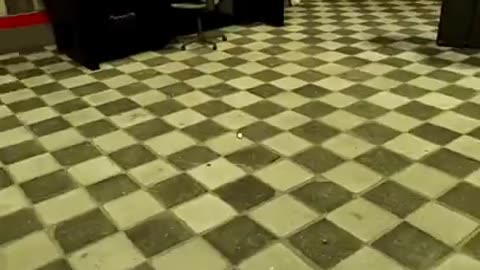 HE JUST RAN THROUGH THE WINDOW?? FOXY FROM FNAF DOOM ROBLOX