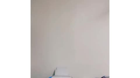 Destructive Kitty Mode Activated! 😼💥 | Hilarious Cat Moments