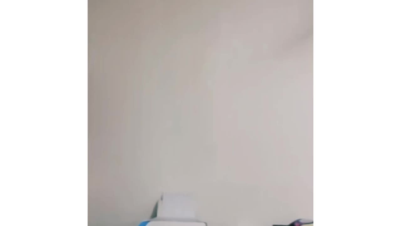 Destructive Kitty Mode Activated! 😼💥 | Hilarious Cat Moments