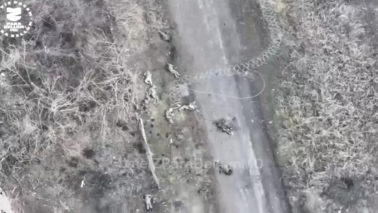 A group of AFU, were put to rest after unloading.