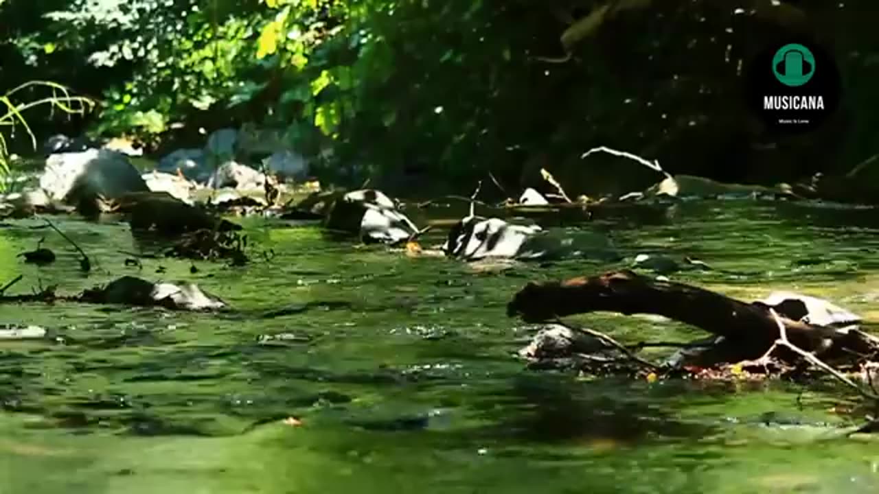 Piano Music Beautiful Relaxing Music