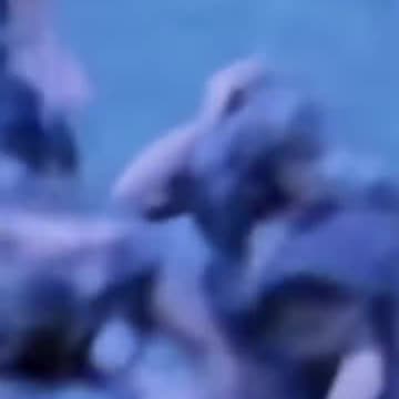 The moment they realized they killed The Son of GOD🥹✝️