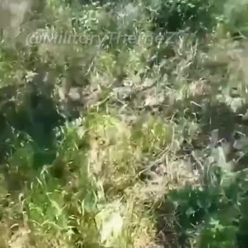 Ukraine war raw footage 5/31/25