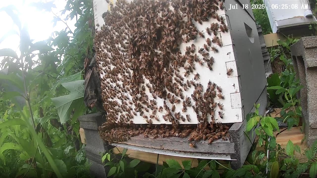 Friday Morning Sunrise