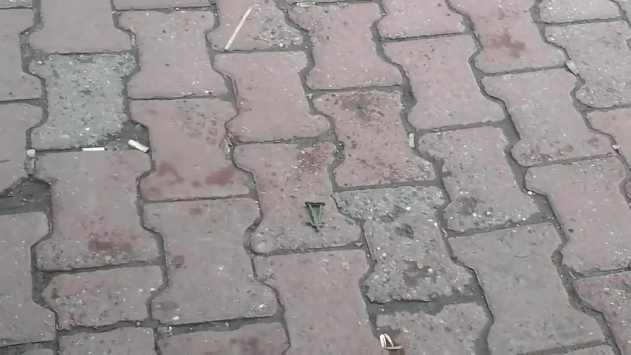 Army Giantess Crush Army Collage - Candid