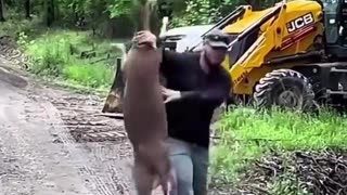 😱🦌 Deer's Reaction is Crazzzyyy! | FunFM