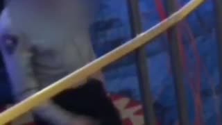 Las Vegas police released footage seeking help to identify a suspect who robbed