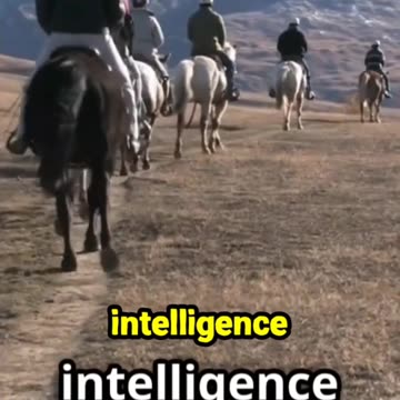 The Yam Relay System How the Mongols Revolutionized Communication