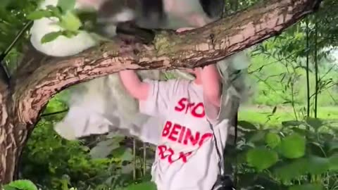 Funny video